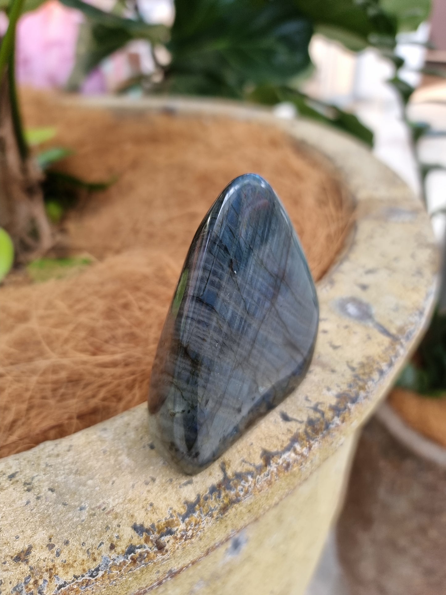 Labradorite freeform - Rivendell Shop