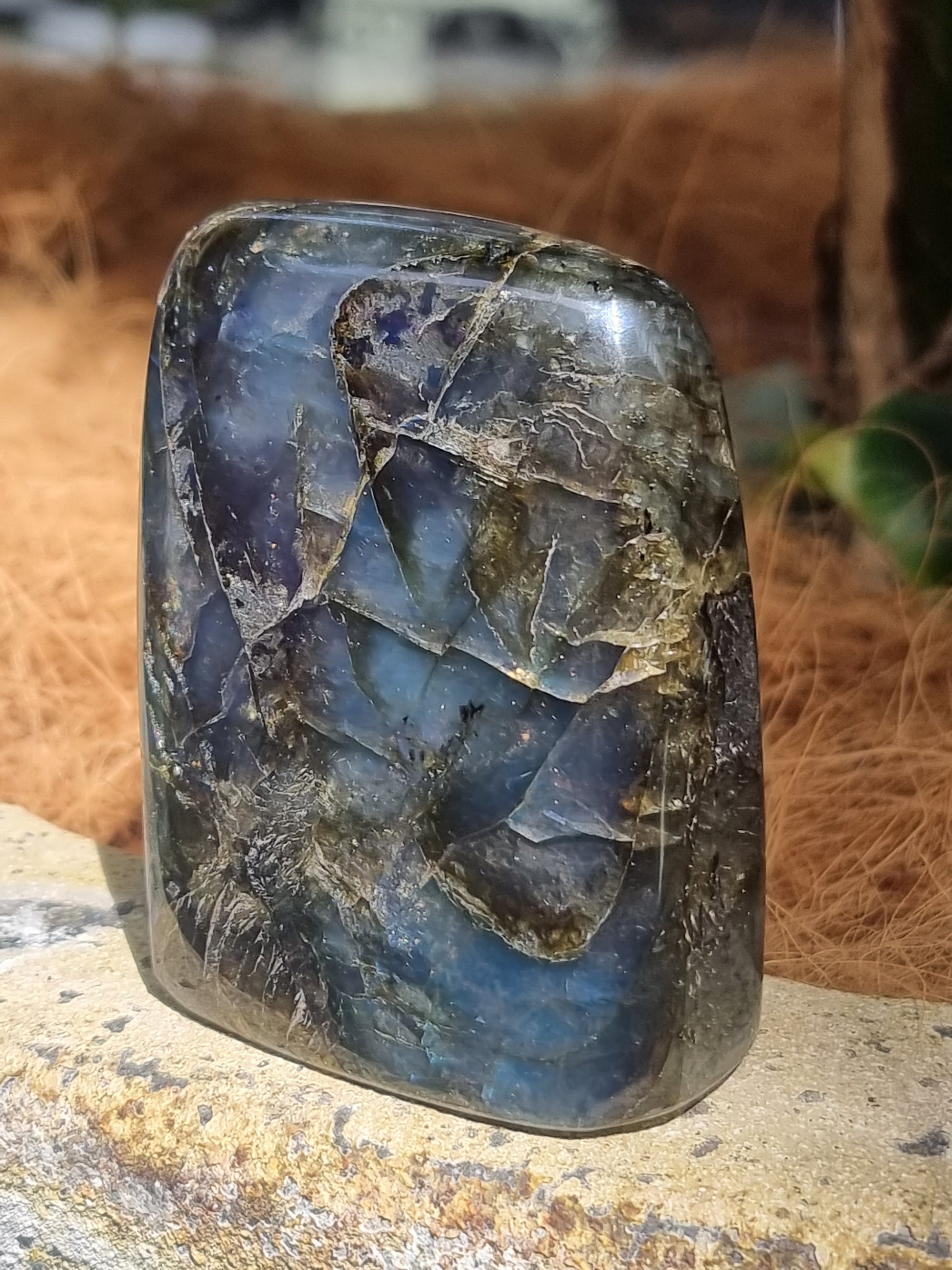 Labradorite freeform - Rivendell Shop