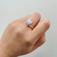 Moonstone Twist 925 Sterling Silver Ring - Rivendell Shop